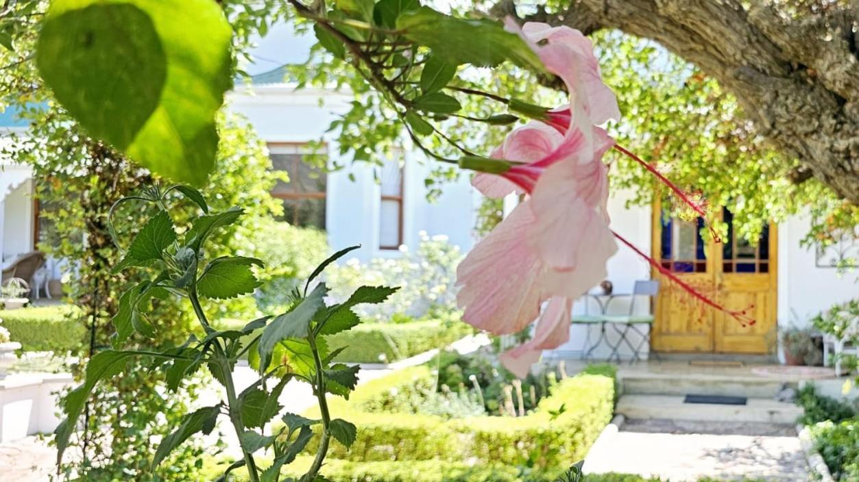 Grey Rabbit Cottage Montagu Exterior foto